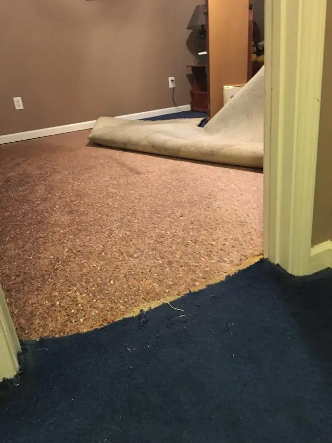 Carpet pad removal revealing water damage during Water Mitigation Services in Ambler